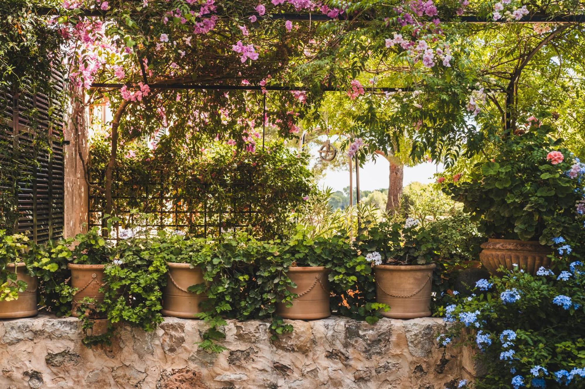 אלגידה Oliver Moragues Grandhouse & Vineyard מראה חיצוני תמונה